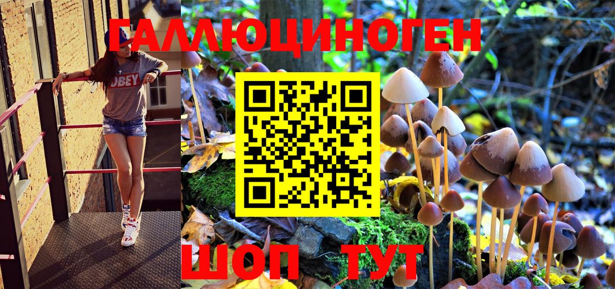Чита  Галлюциногенные грибы Psilocybe  Вход с VPN 