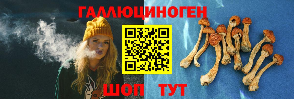 Галлюциногенные грибы прущие грибы Чита